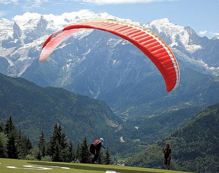 Super Appartement Cocooning Vu Mont Blanc Sallanches Buitenkant foto